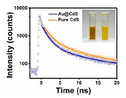 Photoluminescence decay curves for pure CdS and gold-CdS nanoparticles