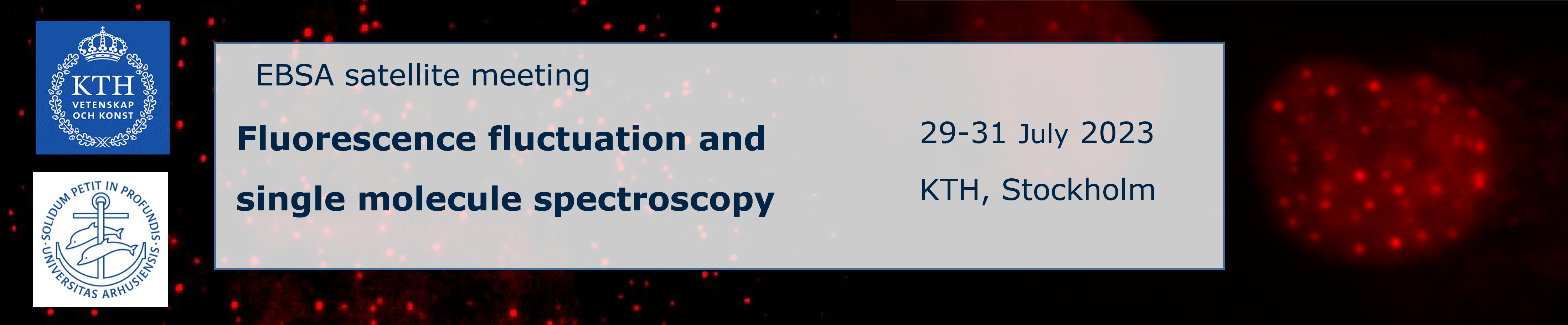 Image Fluorescence fluctuation and single molecule spectroscopy 2023