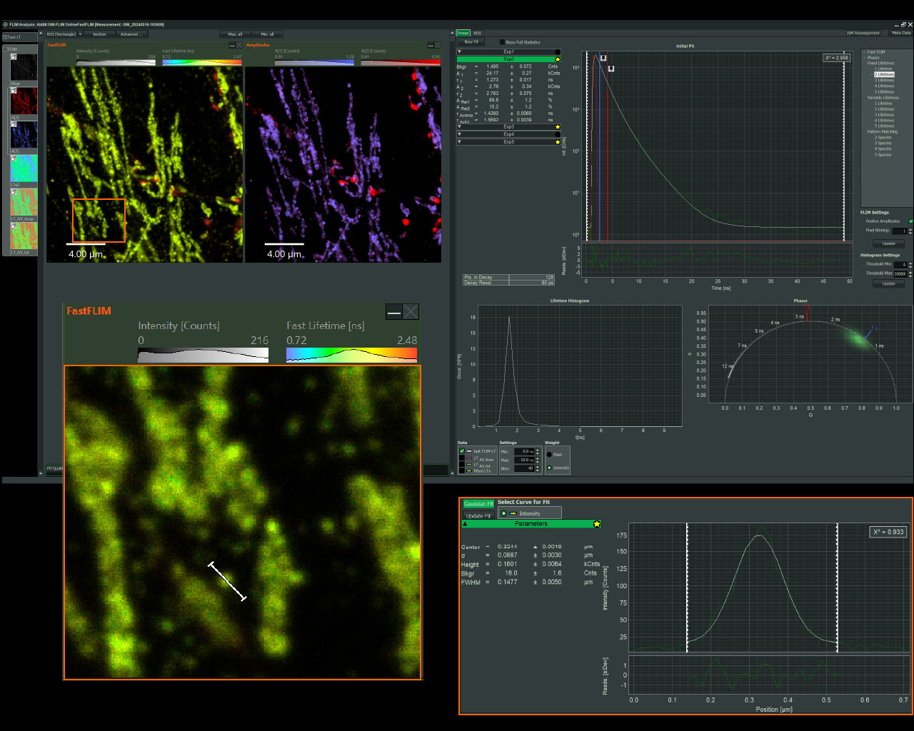 Screenshot of the Luminosa Software showing ISM and FLIM measurements