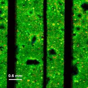 image solar_cells_and_perovskites