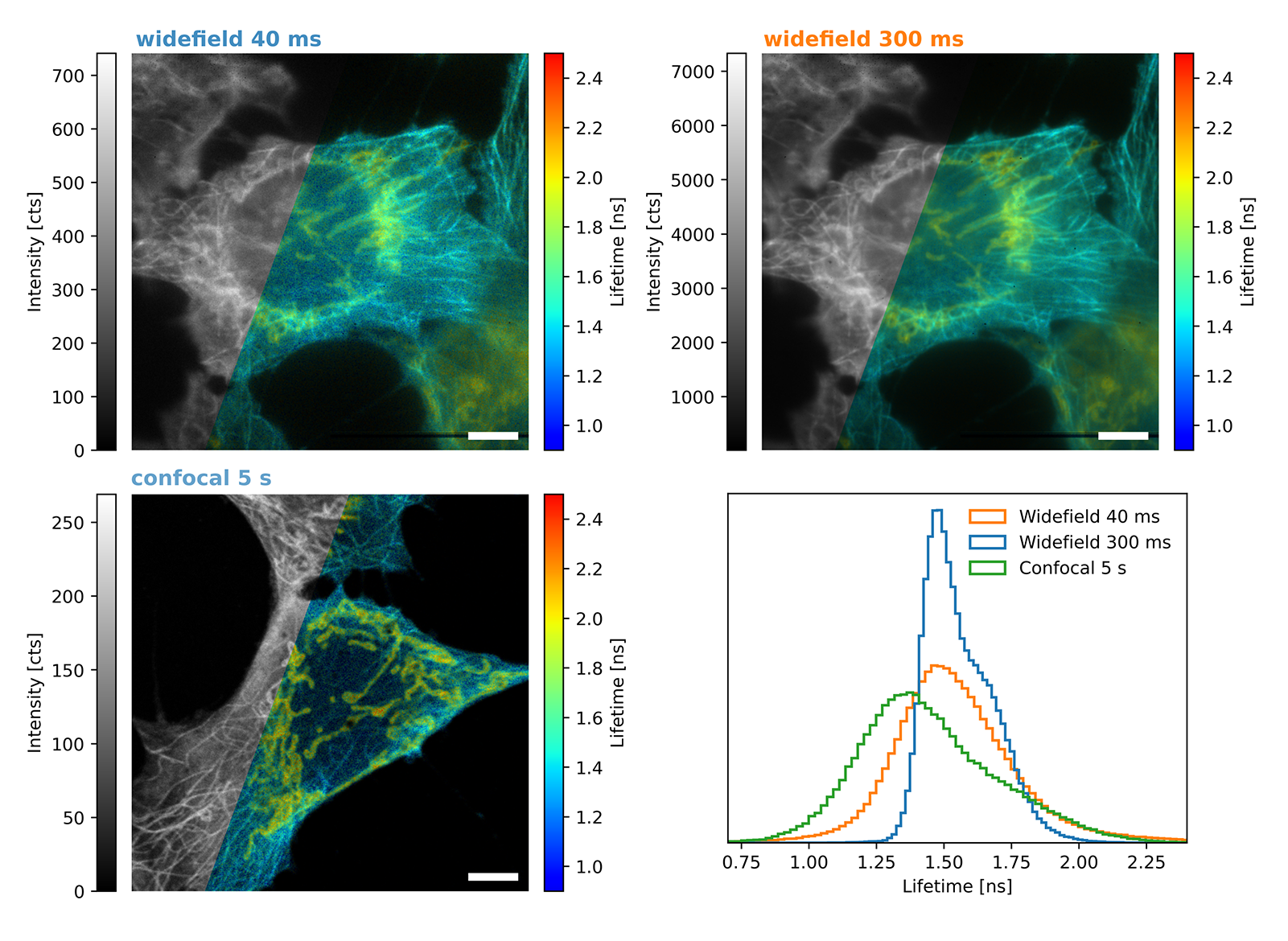 Combined Widefield FLIM measurements