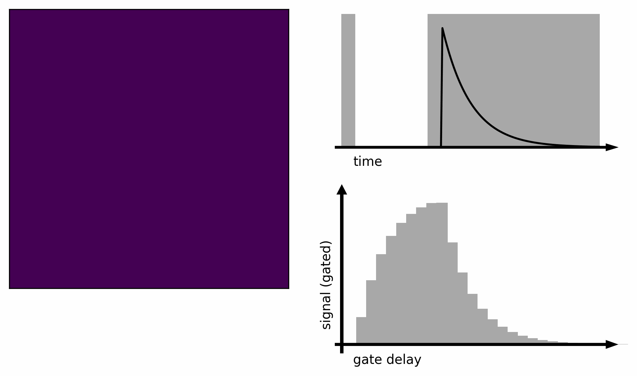 gated FLIM animation