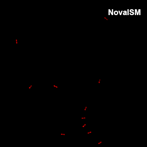 Enhanced fluorescence image after computational sectioning and deconvolution