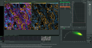 NovaISM Image Scanning Microscopy Analysis Software